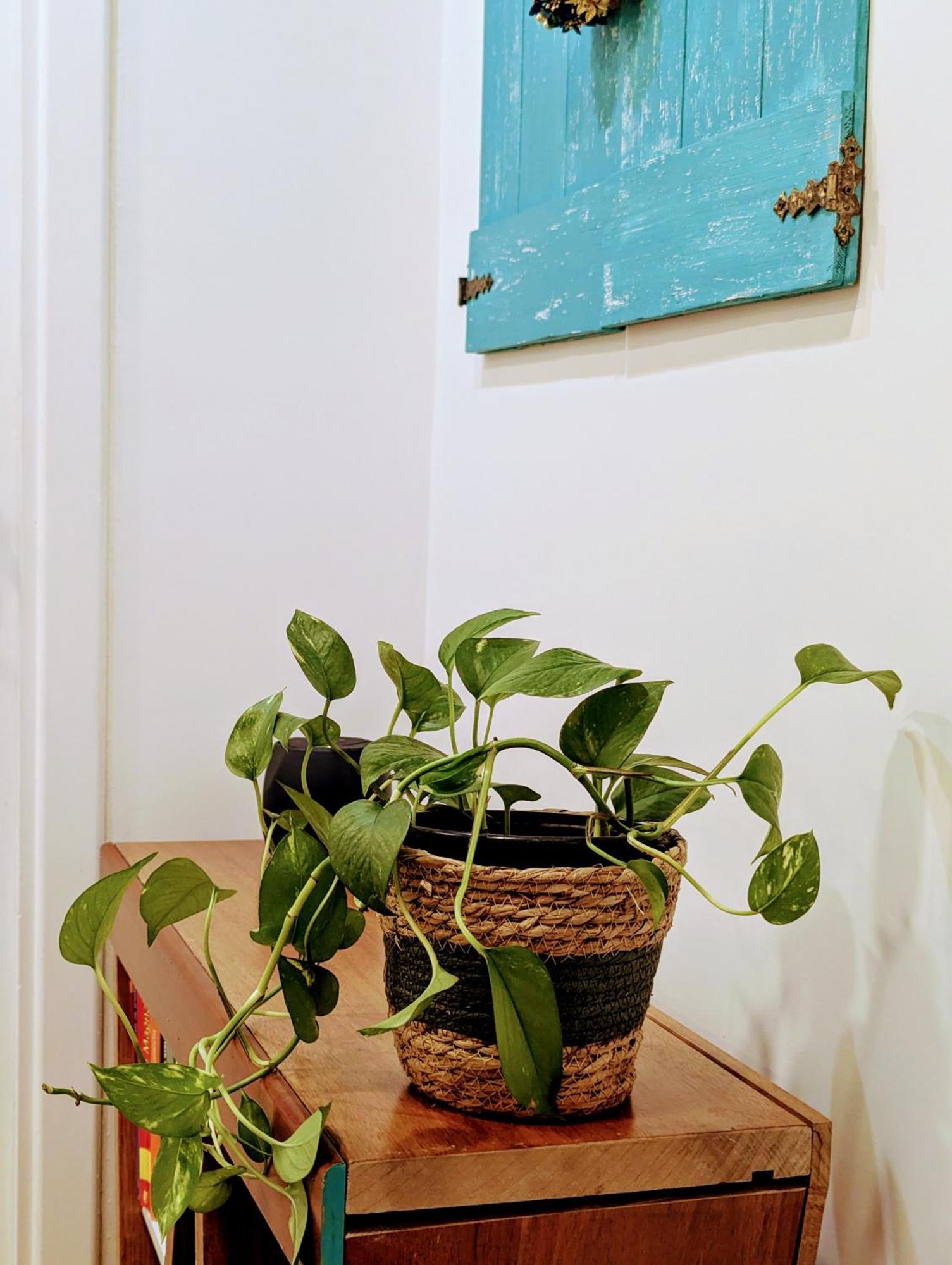 Apartament Intrecci & Impasti Neapol Zewnętrze zdjęcie